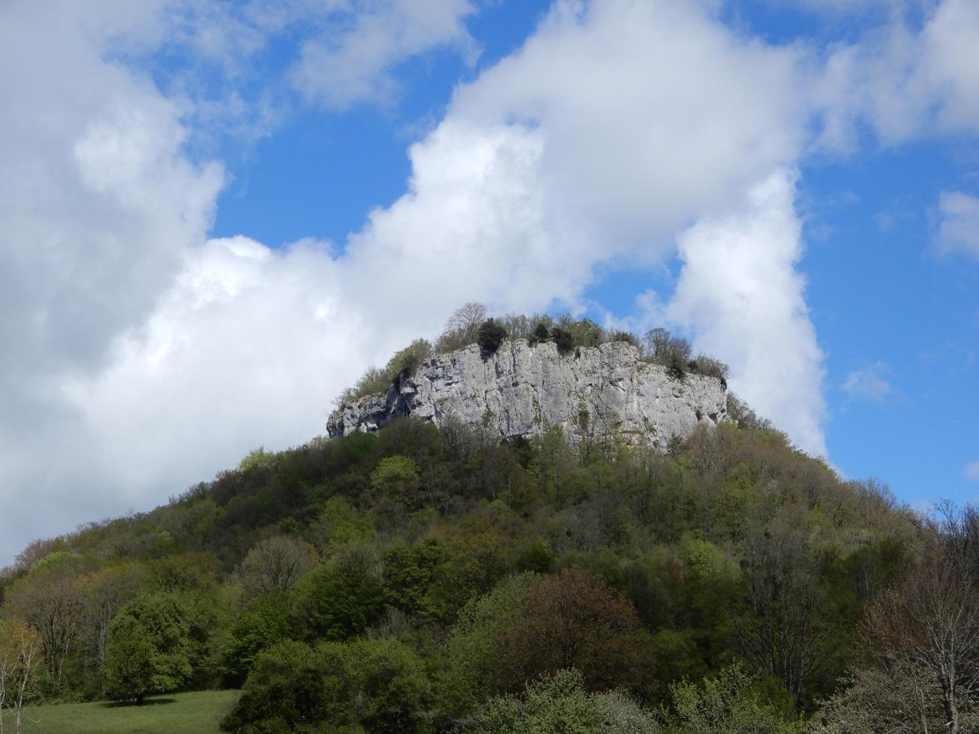 Superbe Logement "Loulaloue" ! Ornans Esterno foto